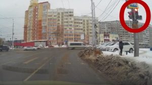 Este perro respeta las señales de tránsito y se vuelve viral en redes sociales