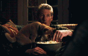 12 películas que todo amante de los animales tiene que ver en la vida