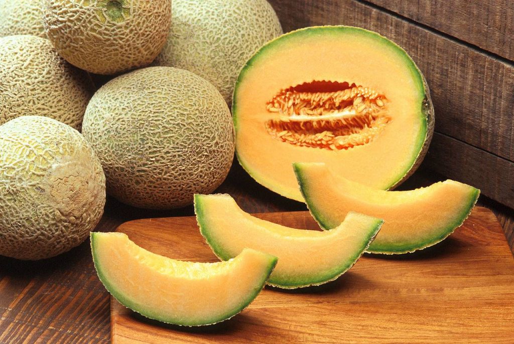 melon-1
