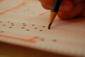 Los 8 aspectos que deberías considerar al elegir una carrera profesional