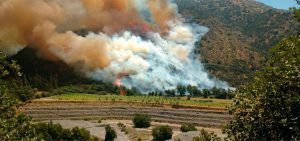#FMDOSTeInforma Incendio afecta a sector del Cajón del Maipo
