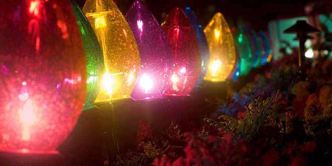 vitrina-navidena-luces-5