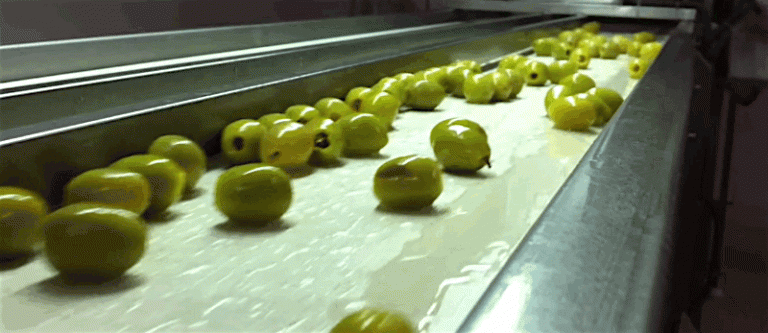 6 buenas razones por las que deberías consumir más aceitunas