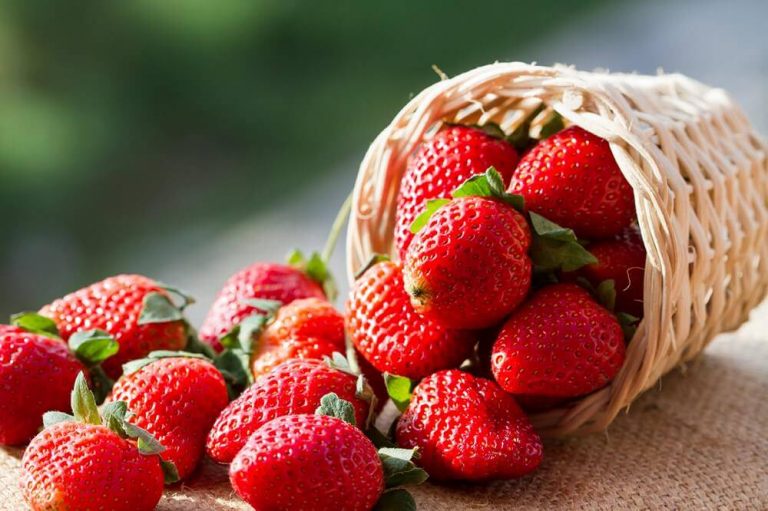 ¿Te gustan las frutillas? En sus pepas esconden un gran secreto para tu salud