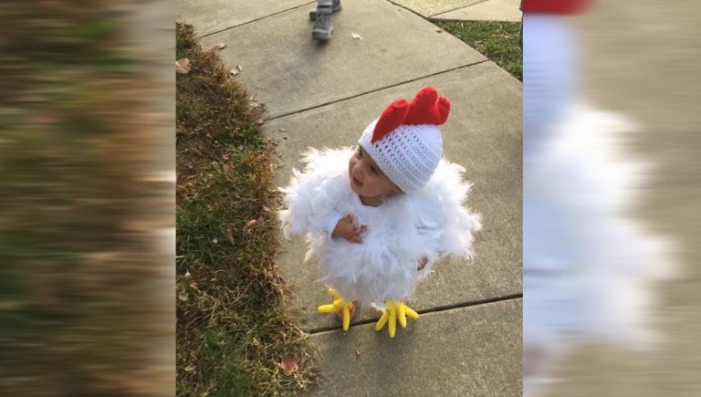 Niña se disfraza de pollo y se vuelve viral en las redes sociales