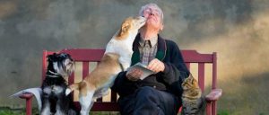 ¿Sabías que las mascotas le hacen muy bien a tus abuelos?