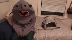 Hombre se disfrazó del juguete favorito de su gato y algo salió mal