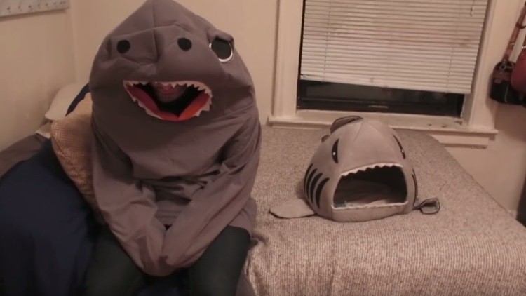 Hombre se disfrazó del juguete favorito de su gato y algo salió mal