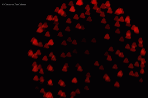 ¿Lo sabías? Tu dedo meñique indica cómo eres en el amor