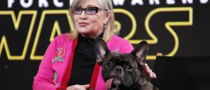 ¿Qué pasará con el perrito y mejor amigo de la fallecida Carrie Fisher?