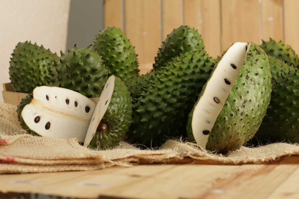 ¡Viva lo tropical! Conoce por qué deberías consumir guanábana