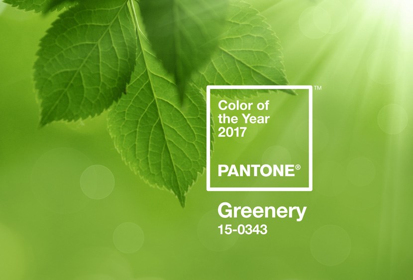 pantone-color-2016-1