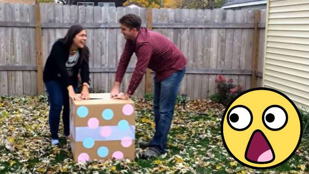 Querían saber el sexo de su bebé, pero pasó algo inesperado