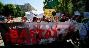 Así fue la marcha por Cholito, el perro que fue brutalmente apaleado