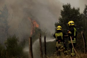 #FMDOSTeInforma Revisa el minuto a minuto de los incendios forestales