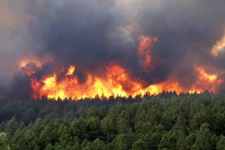 #FMDOSTeInforma Gobierno se querellará contra presuntos responsables del incendio en Chépica