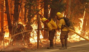 #FMDOSTeInforma Gobierno anunció 14 medidas en ayuda de afectados por incendios forestales