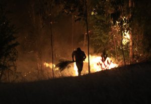 Revisa qué dice la prensa internacional sobre los incendios forestales que afectan el país