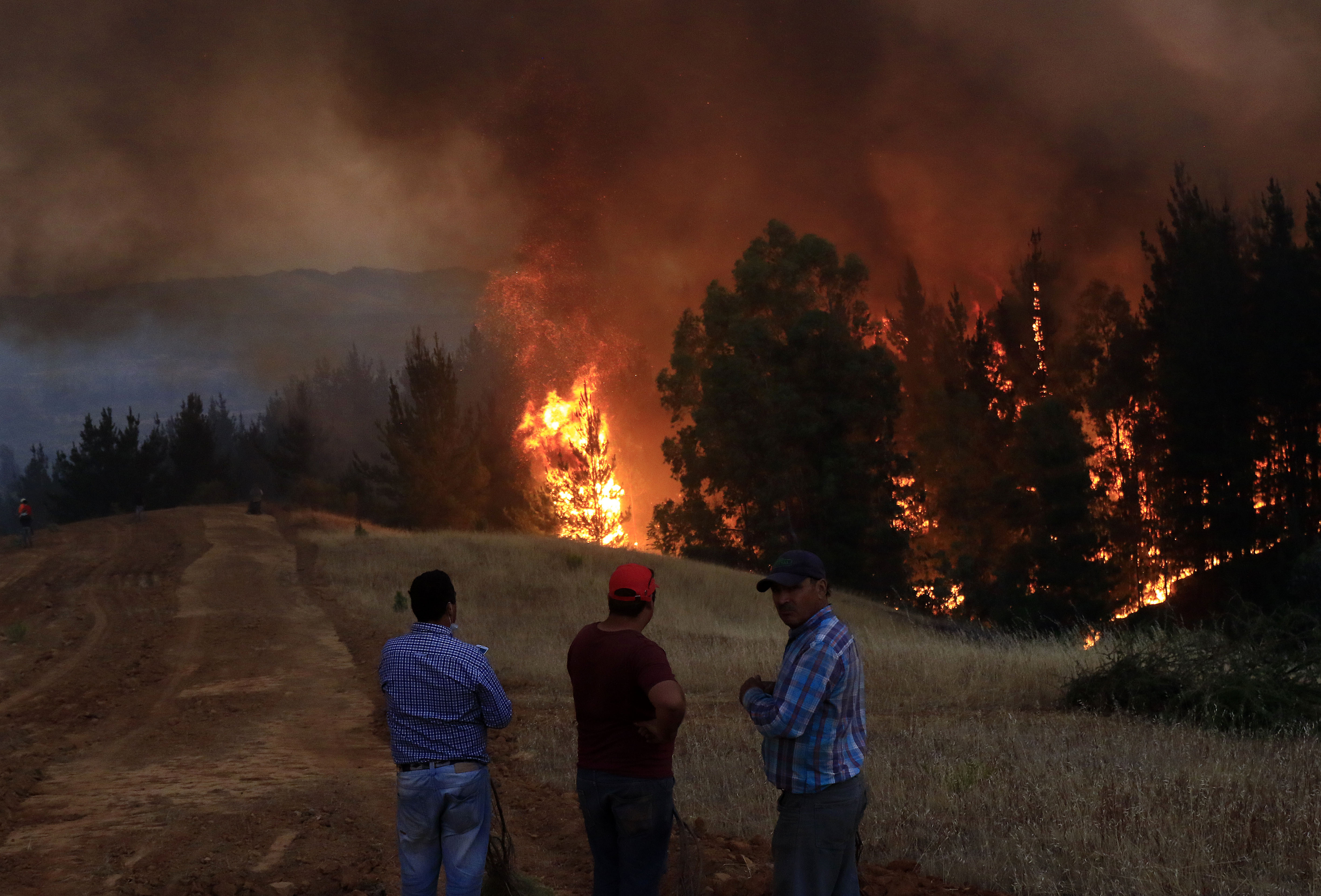 #FMDOSTeInforma Último reporte de Onemi: hay 43 incendios activos