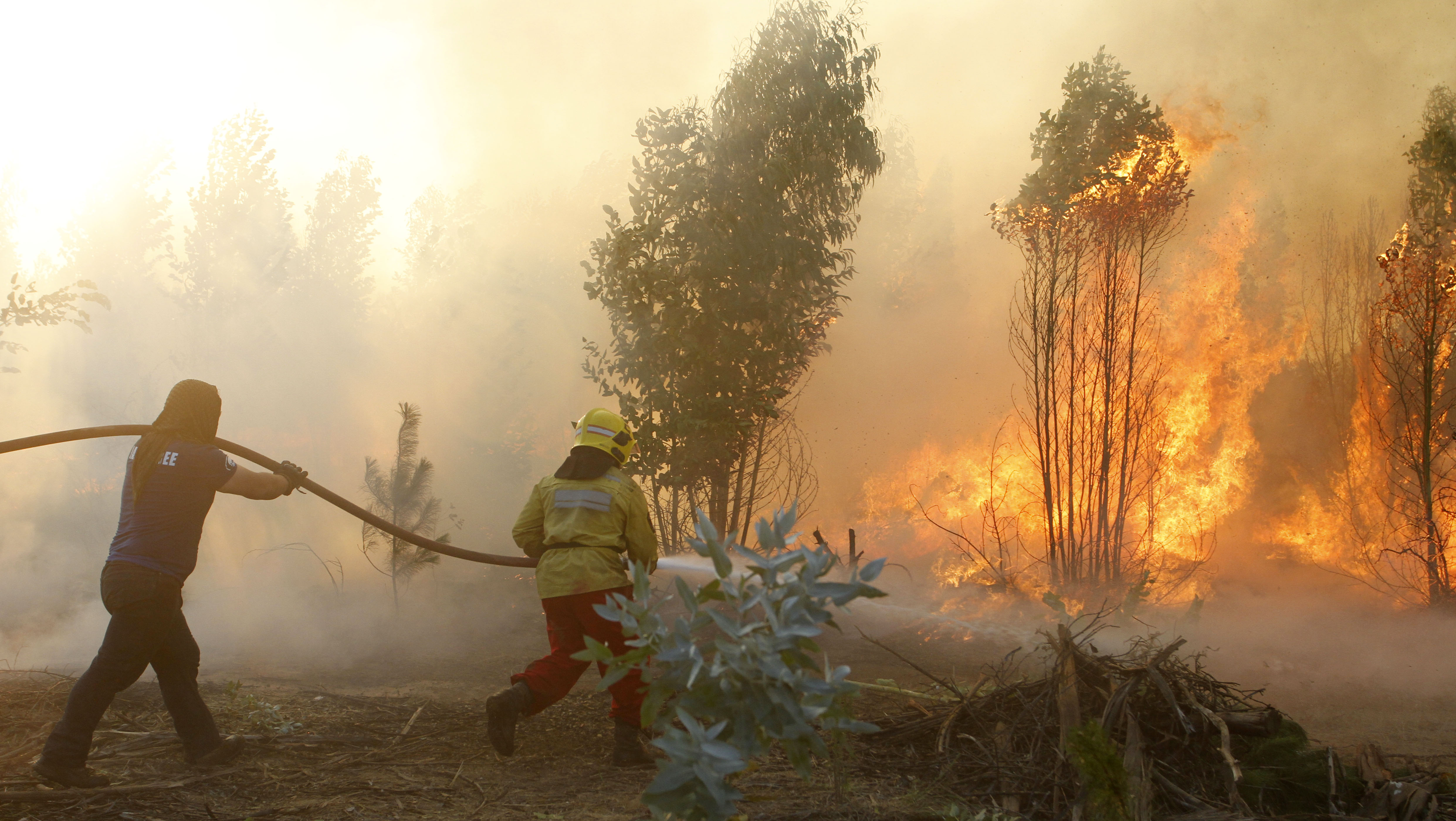 Desafío Levantemos Chile lanza campaña para ayudar a damnificados por incendios