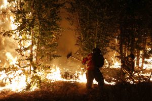 ¿Cómo ayudar a los afectados por los incendios forestales?