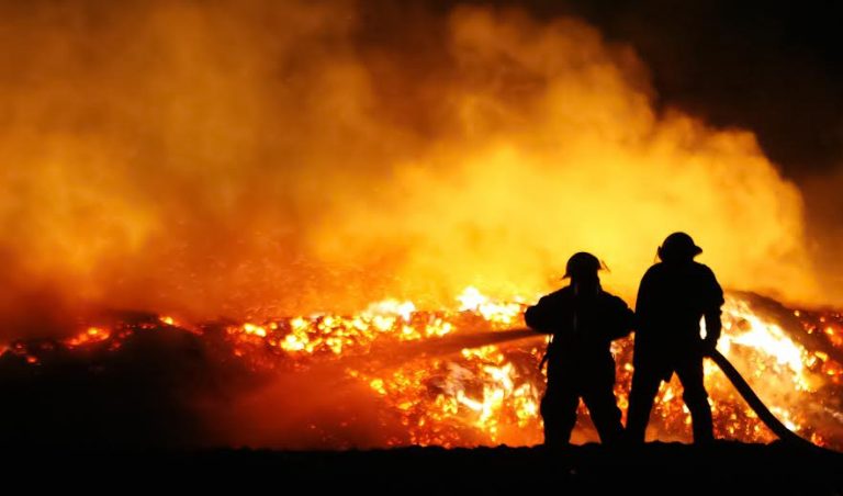 Estos serán los beneficios que entregará el Gobierno a las personas afectadas por los incendios forestales