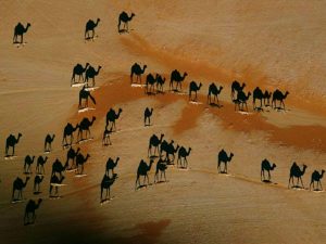 Esta es la primera ilusión óptica del 2017 que arrasa en redes sociales