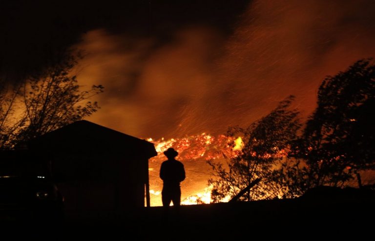 ¿Cómo ayudar a los damnificados por los incendios forestales? Estos son los principales centros de acopio en todo Chile