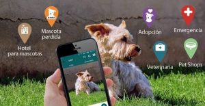 WOF, la app que te ayuda a encontrar tu mascota perdida