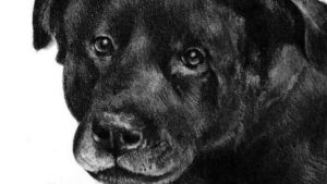 Imputados que causaron la muerte de Cholito quedaron sin medidas cautelares