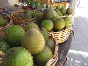 Copao, la fruta chilena que deberías conocer
