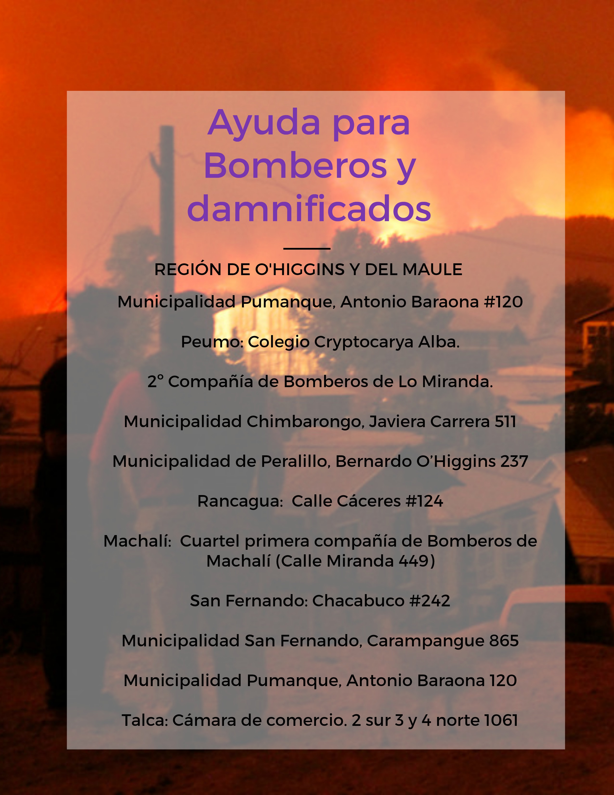 ¿Cómo ayudar a los damnificados por los incendios forestales? Estos son ...
