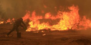 #FMDOSTeInforma: Conoce las penas que se arriesgan por provocar incendios forestales