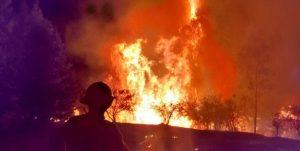 #FMDOSTeInforma Gigantesco incendio en Pumanque tardaría varios días en ser controlado