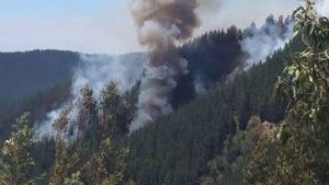 #FMDOSTeInforma Incendio en Vichuquén deja 3 fallecidos