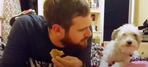 Mira cómo reacciona este tierno perro al ver que su dueño está comiendo