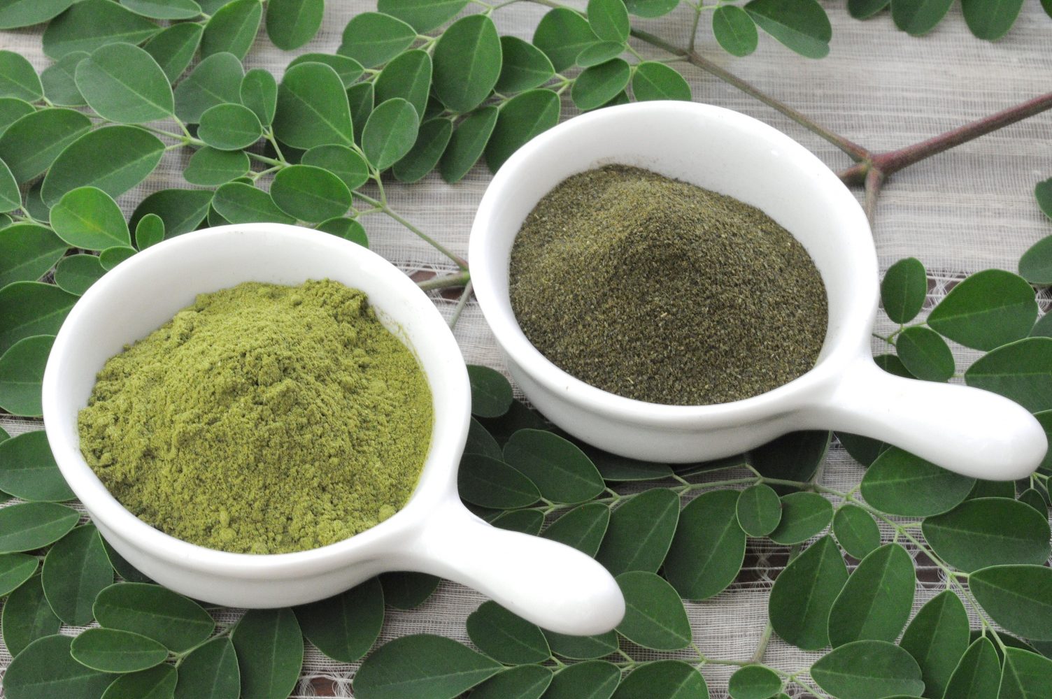 Moringa, la planta mágica que te ayuda a bajar de peso