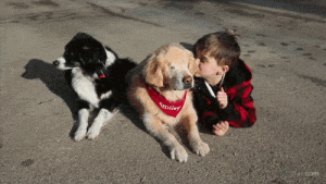 Niños y mascotas: ¿Cómo influye en su crecimiento?