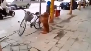 ¡Aww! Esto demuestra que realmente los animales son los mejores amigos del ser humano