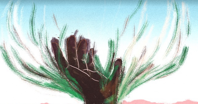 Entérate cuándo será lanzado disco a beneficio de los afectados por los incendios forestales