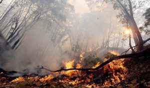 Presidenta Bachelet: "La emergencia está llegando a su fin"