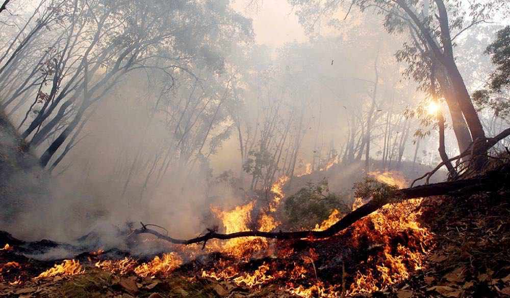 Presidenta Bachelet: "La emergencia está llegando a su fin"