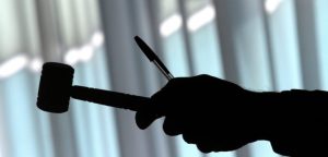 Conoce los detalles del remate solidario del Festival de Viña