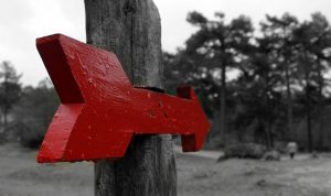 ¡Emprende un nuevo camino y recibe abril con buenas energías!