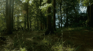 ¿Qué es la Hora del planeta y cómo puedes unirte a la causa?