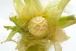 ¡No lo botes! Conoce para qué sirve el pelo de choclo