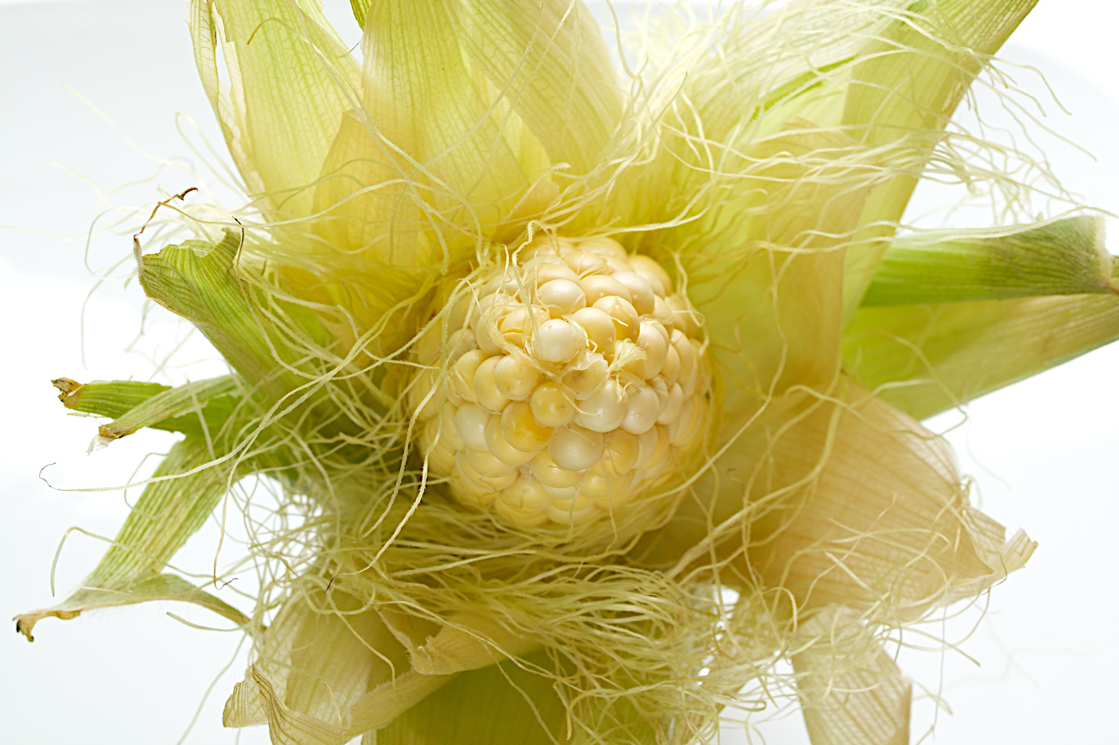 ¡No lo botes! Conoce para qué sirve el pelo de choclo