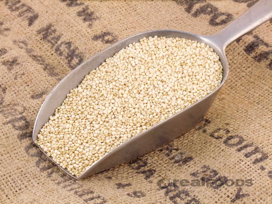 Quinoa blanca