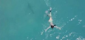 ¡Qué miedo! Joven grabó a su novia buceando y un tiburón casi la ataca