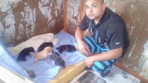 Joven asesinado con una camada de cachorros